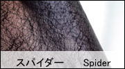 �X�p�C�_�[      Spider   